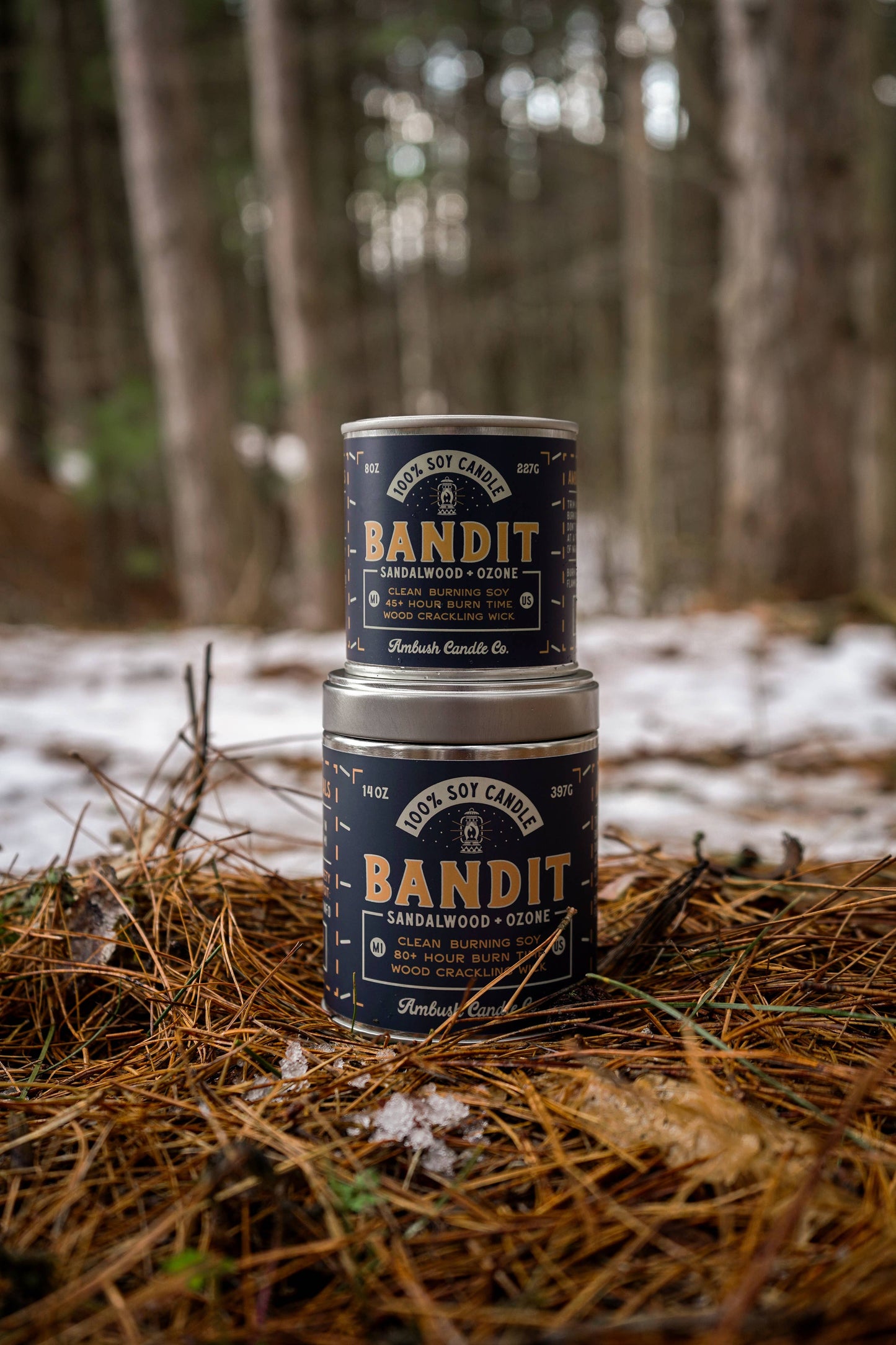 Bandit | Sandalwood + Ozone 8oz Soy Candle