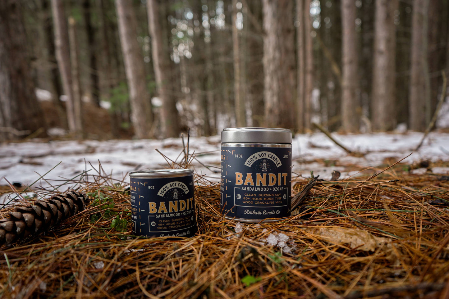 Bandit | Sandalwood + Ozone 8oz Soy Candle