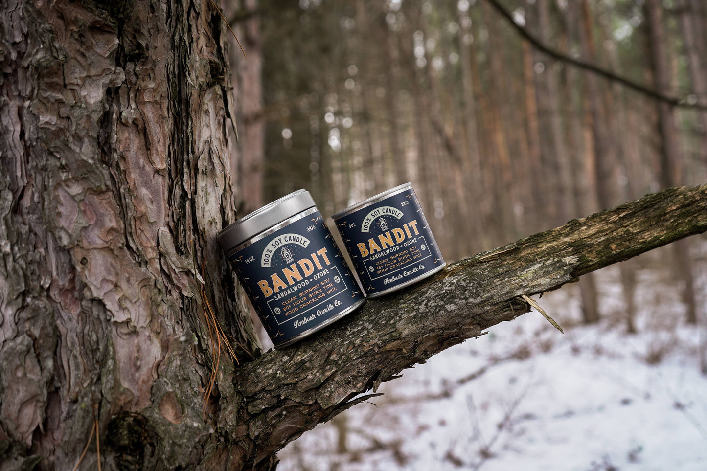 Bandit | Sandalwood + Ozone 8oz Soy Candle